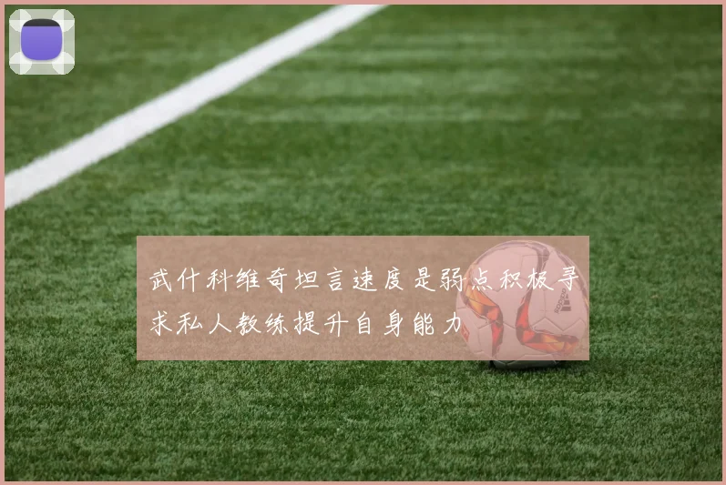 武什科维奇坦言速度是弱点积极寻求私人教练提升自身能力