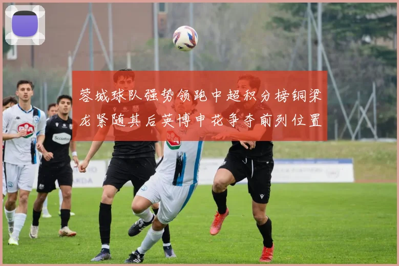 蓉城球队强势领跑中超积分榜铜梁龙紧随其后英博申花争夺前列位置