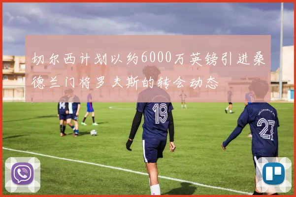 切尔西计划以约6000万英镑引进桑德兰门将罗夫斯的转会动态