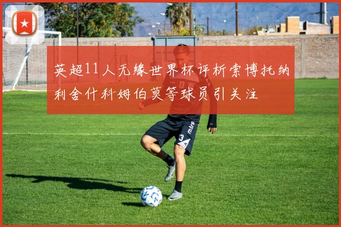 英超11人无缘世界杯评析索博托纳利舍什科姆伯莫等球员引关注