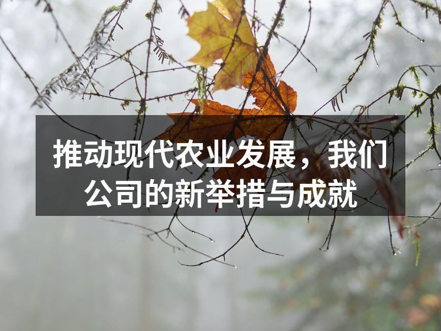 推动现代农业发展，我们公司的新举措与成就